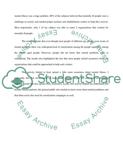 Interviews and Reflection Report