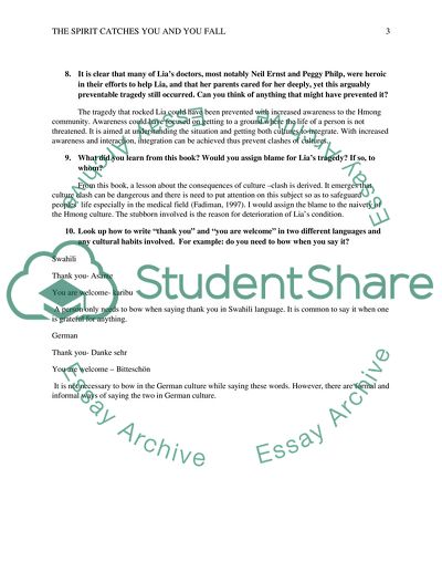 Book: The Spirit Catches You and You Fall