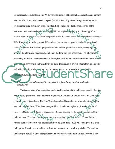 Anatomy of The Female Reproductive System
