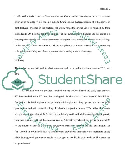 Staphylococcus and streptococcus