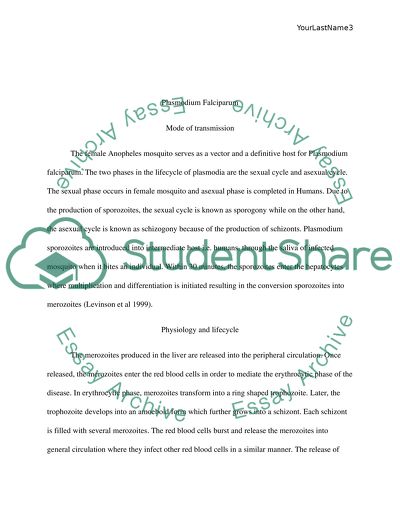 Plasmodium Falciparum - Causative Agent of Severe Malaria