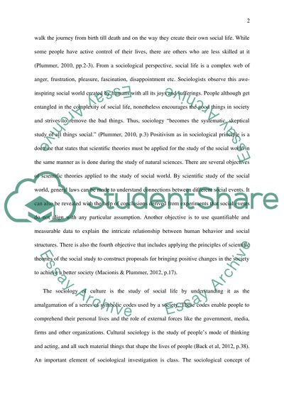 Seeing the social world through the lens of social theories