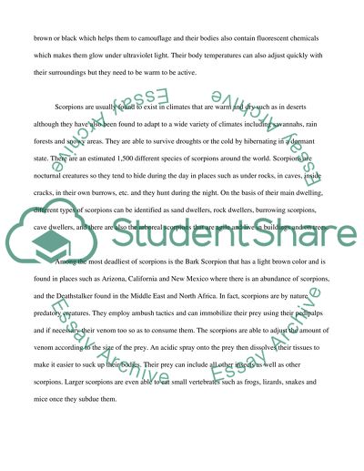 An Arizonian Scorpion