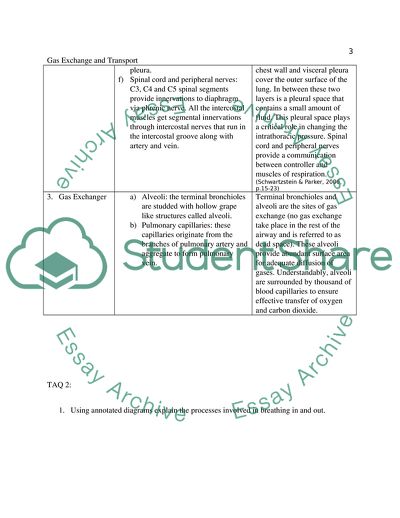 Human Biological Systems, Gas Exchange & Transport