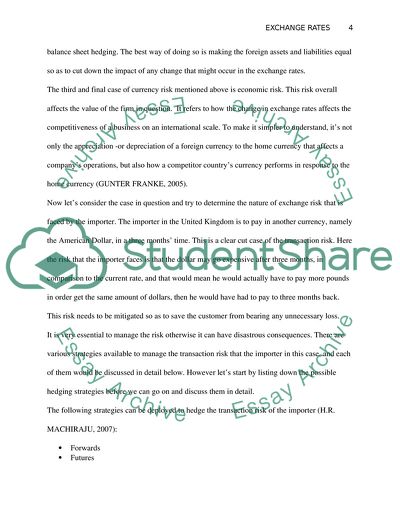 Exchange Rate Risks Evaluation