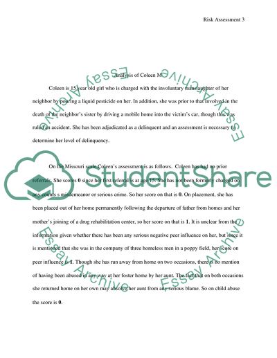 Risk Assessment Paper