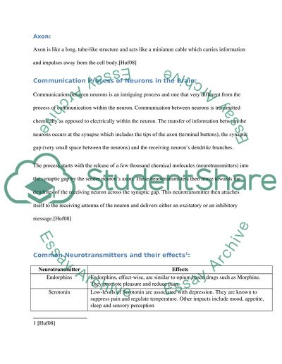 Relationship between brain and behavior image