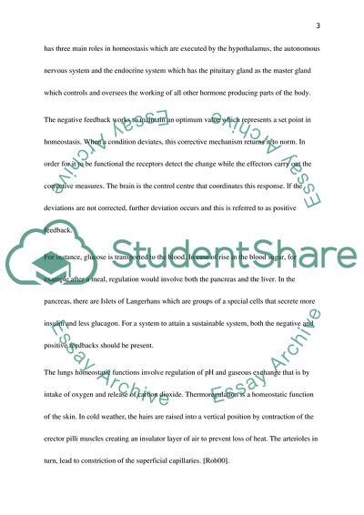 Homeostasis in humans