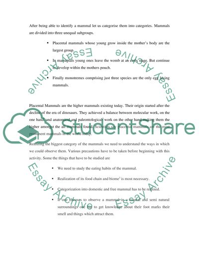 The Techniques Used to Observe Behaviour in Higher Mammals