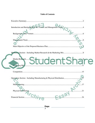 Developing an Efficient Business Plan for a Company
