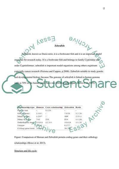 Non-Mammalian Model Organisms