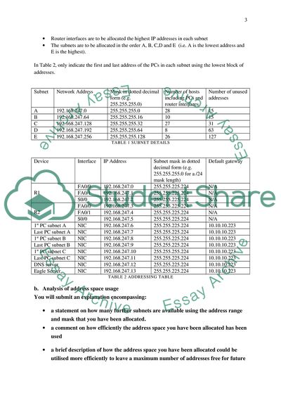 Network Assessment Issues