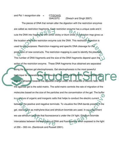 Extrachromosomal DNA Molecules