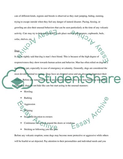 Animals Unusual Behaviors