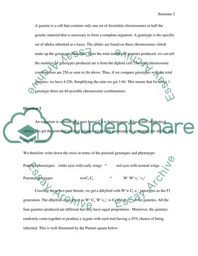 Centro Metric Combination