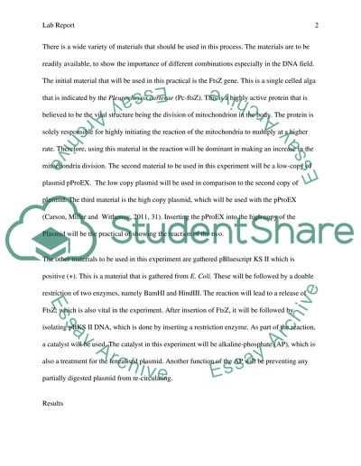 Aims of the Practical