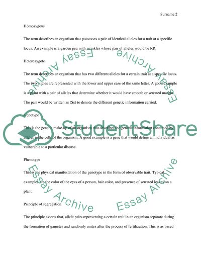 The Physical Anthropology