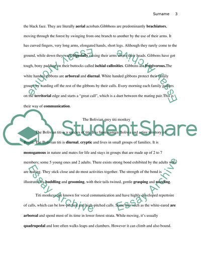 Describing the morphology and behavior of gorilla, white-handed gibbon and bolivian grey titi monkey