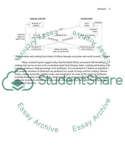 Prospects/consequences for cooking fuel