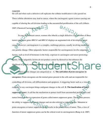 What Causes Cancer Mutations