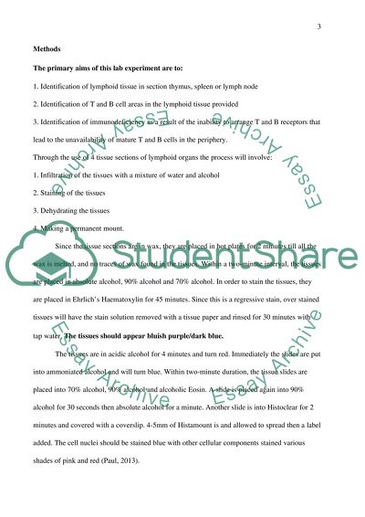 Identification of Lymphoid Tissue in Section Thymus, Spleen or Lymph Node