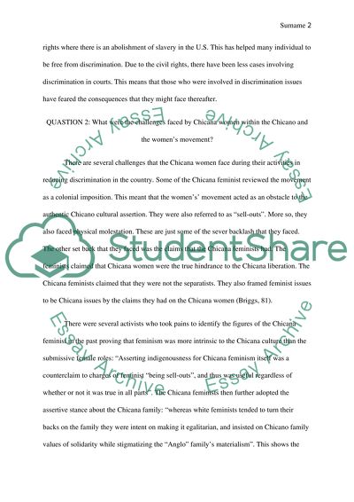 Chicanos essay image