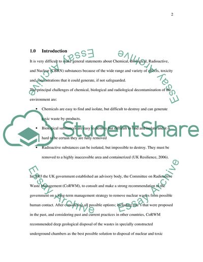 Risk Management in the Geological Disposal