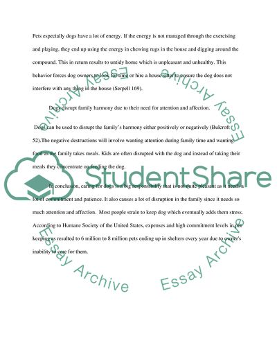 Is Getting a Dog Worth It