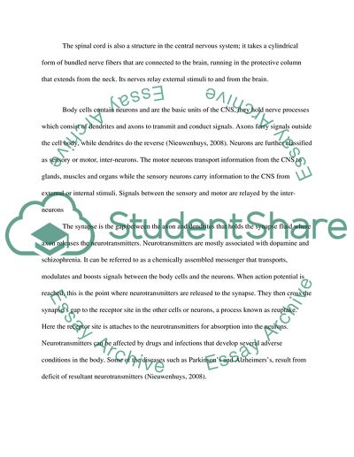 Drugs and Crime - Neurotransmitters