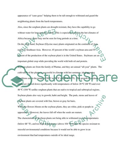 The Physiology of Plants