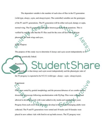 Do Sepia and Dumpy Segregate Independently