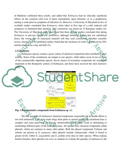 The History of Use of Echinacea
