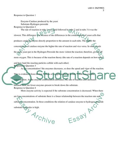 Effect of Enzyme Concentration