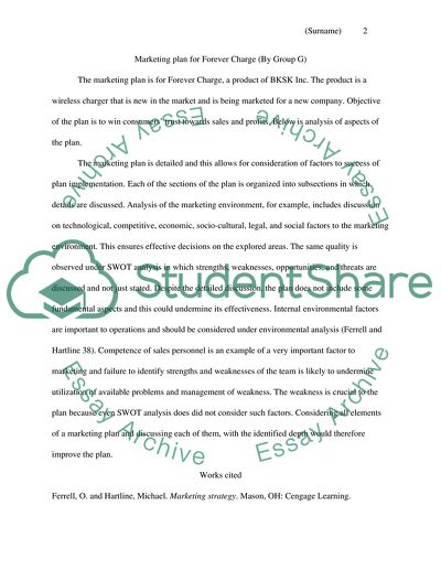 Analysis of Marketing plans for Forever Charge