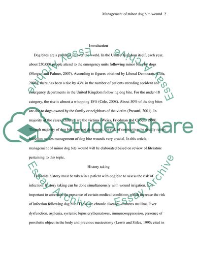 Management of Minor Dog Bite Wound
