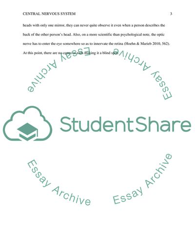 Central Nervous System