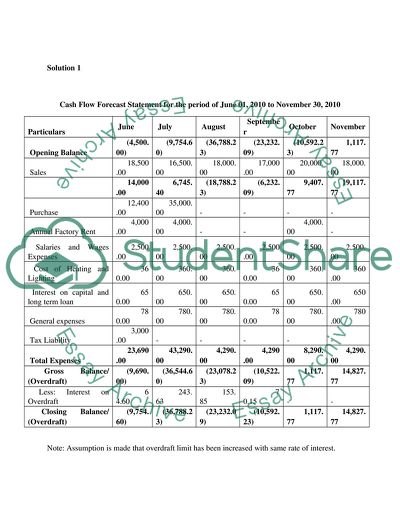 Cash Flow Forecast Statement in Hidetoseek Ltd