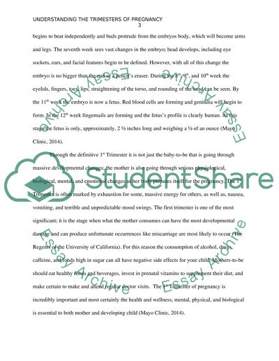 Understanding Pregnancy and the three Trimesters