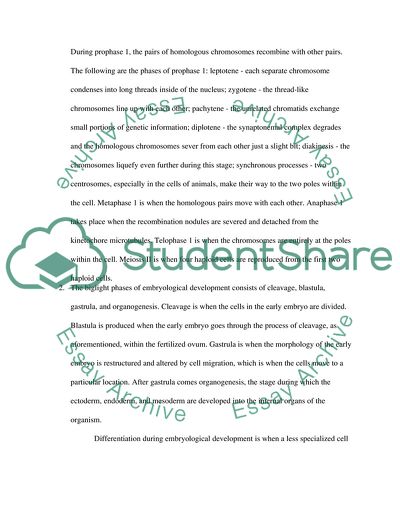 Zoology. Mitosis and biglight phases of embryological development