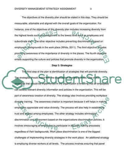 DIVERSITY MANAGEMENT STRATEGY ASSIGNMENT