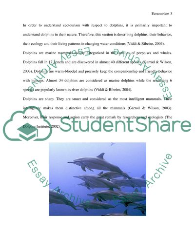 Dolphins and Ecotourism