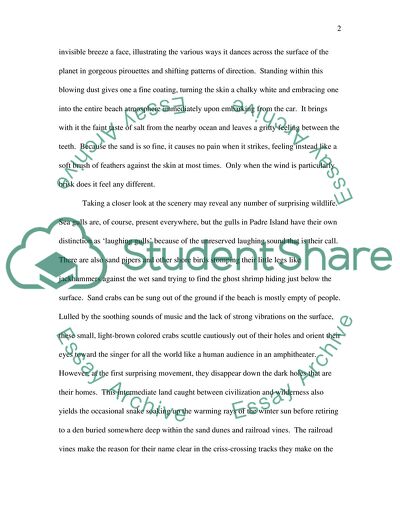 A Day at the Beach with Perfect White Sand