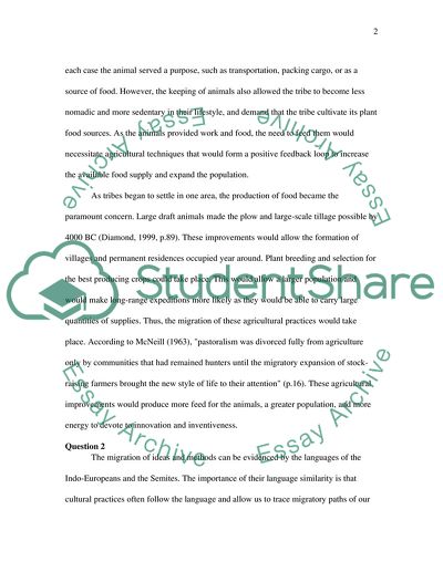 International Studies(History)