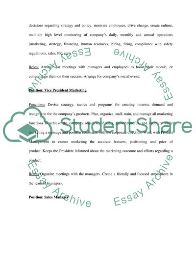 Organizational Model of Positions, Functions, and Roles - Light Walkers Ltd