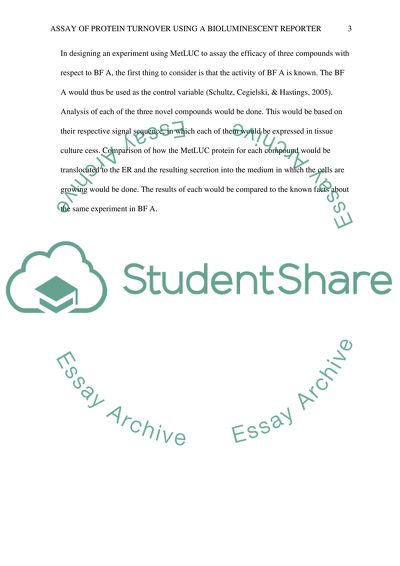 Assay of protein turnover using a bioluminescent reporter