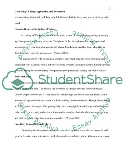 Case Study: Theory Application and Evaluation