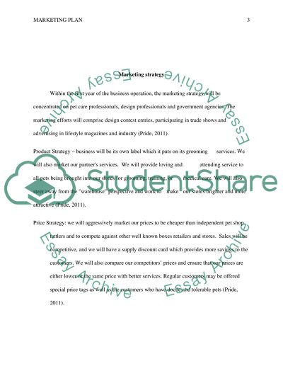 Marketing Plan: Marketing Objectives, Marketing Strategy, and SWOT Analysis