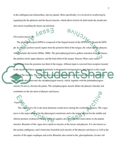 Dysphagia Process, Swallowing