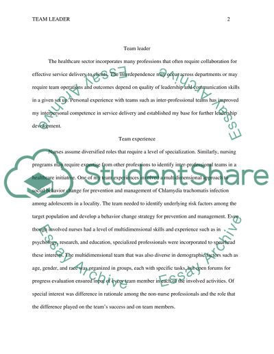 Team Leader: the Healthcare Sector