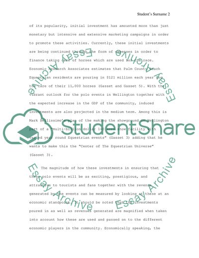 Polo Activity in Wellington